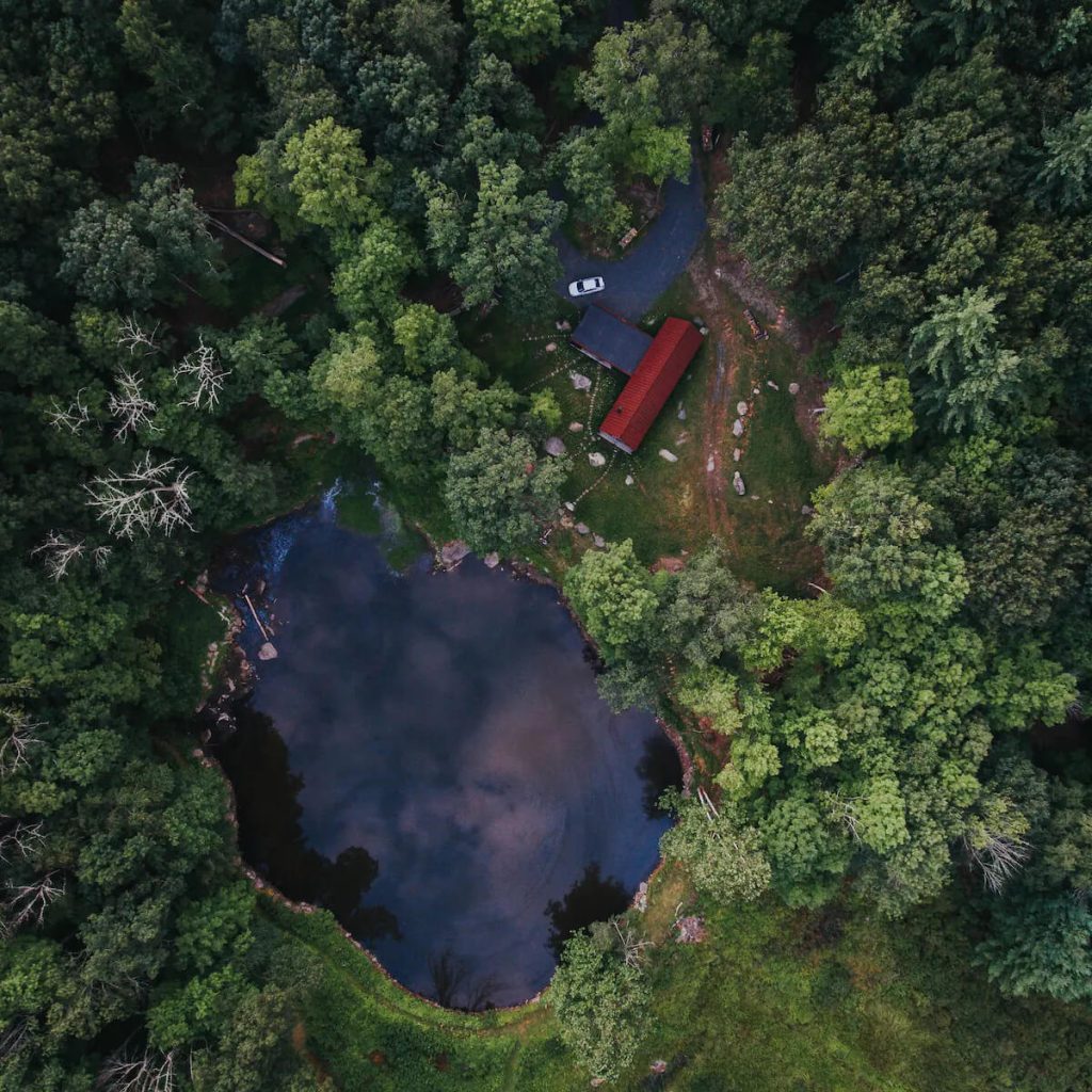 The Pond House A modern cabin within the forest.